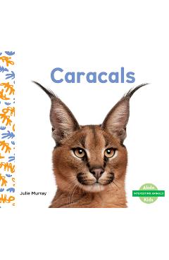 Coperta cărții 'Caracals - Julie Murray'