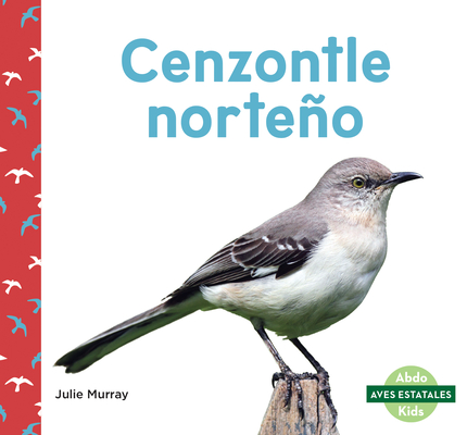 Cenzontle Norteño (Northern Mockingbirds) - Julie Murray