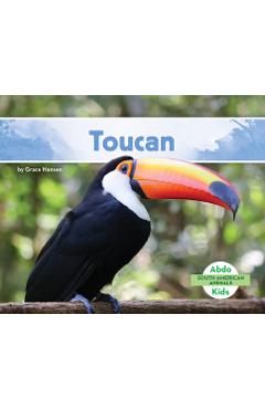 Coperta cărții 'Toucan - Grace Hansen'