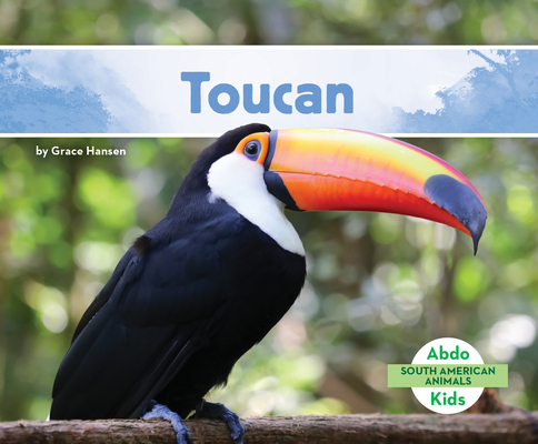 Toucan - Grace Hansen