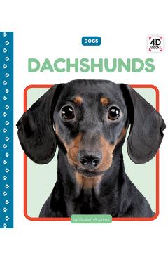 Poza produsului Dachshunds - Elizabeth Andrews