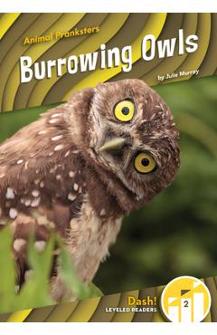 Coperta cărții 'Burrowing Owls - Julie Murray'