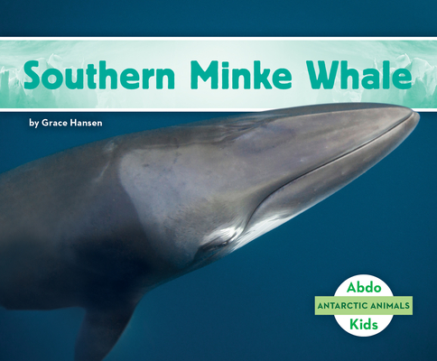 Southern Minke Whale - Grace Hansen