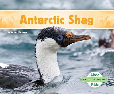 Antarctic Shag - Grace Hansen