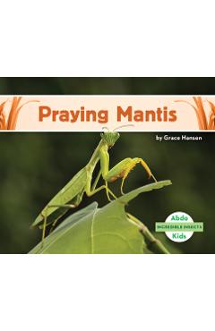 Coperta cărții 'Praying Mantis - Grace Hansen'