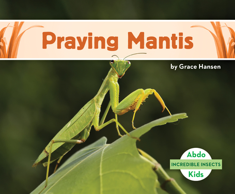 Praying Mantis - Grace Hansen