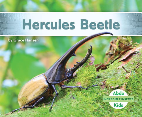 Hercules Beetle - Grace Hansen