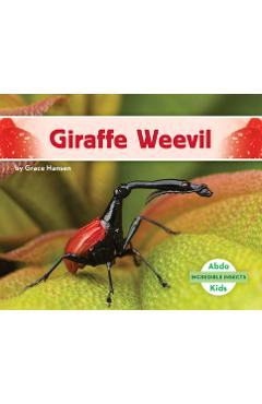 Coperta cărții 'Giraffe Weevil - Grace Hansen'