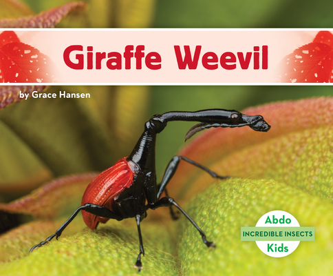 Coperta cărții 'Giraffe Weevil - Grace Hansen'