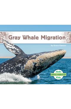 Coperta cărții 'Gray Whale Migration - Grace Hansen'