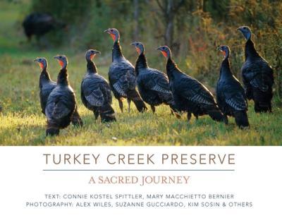 Turkey Creek Preserve: A Sacred Journey - Connie Kostel Spittler
