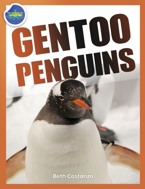 Gentoo Penguins activity workbook ages 4-8 - Beth Costanzo