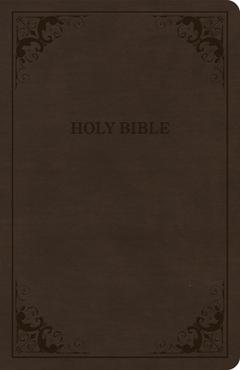 Coperta cărții 'CSB Thinline Bible, Brown Leathertouch, Value Edition - Csb Bibles By Holman'