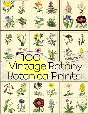 100 Vintage Botany Botanical Prints Volume 2 - C. Anders
