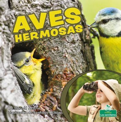 Coperta cărții 'Aves Hermosas (Beautiful Birds) - Harold Morris'