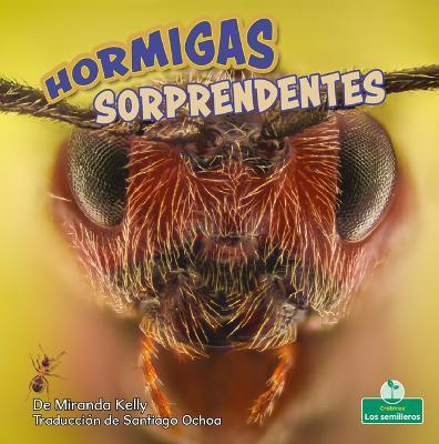Coperta cărții 'Hormigas Sorprendentes (Amazing Ants) - Miranda Kelly'