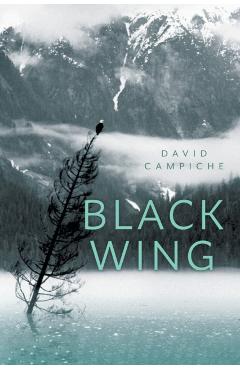 Black Wing - David Campiche