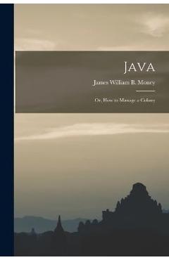 Coperta cărții 'Java; Or, How to Manage a Colony - Money James William B.'