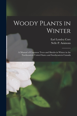 Woody Plants in Winter; a Manual of Common Trees and Shrubs in Winter in the Northeastern United States and Southeastern Canada - Nelle P. 1889- Ammons