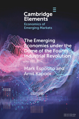 The Emerging Economies Under the Dome of the Fourth Industrial Revolution - Mark Esposito