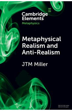Coperta cărții 'Metaphysical Realism and Anti-Realism - J. T. M. Miller'