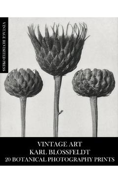 Coperta cărții 'Vintage Art: Karl Blossfeldt 20 Botanical Photography Prints - Vintage Revisited Press'
