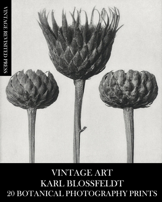 Vintage Art: Karl Blossfeldt 20 Botanical Photography Prints - Vintage Revisited Press