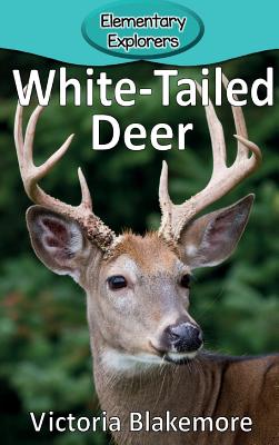 White-Tailed Deer - Victoria Blakemore