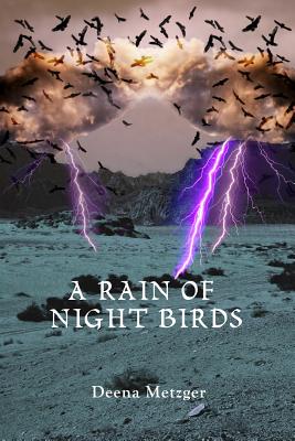 A Rain of Night Birds - Deena Metzger