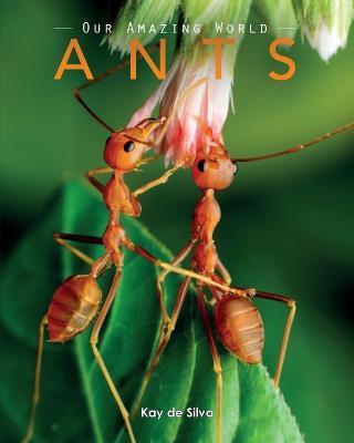 Ants: Amazing Pictures & Fun Facts on Animals in Nature - Kay De Silva