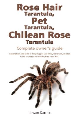 Rose Hair Tarantula, Pet Tarantula, Chilean Rose Tarantula: Complete owner's guide - Jowan Karrek