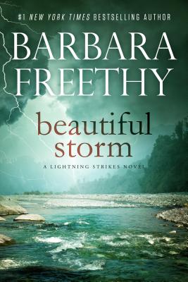 Beautiful Storm - Barbara Freethy