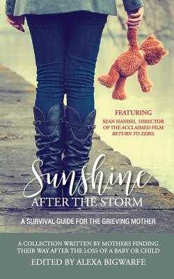 Sunshine After the Storm: A Survival Guide for the Grieving Mother - Alexa H. Bigwarfe