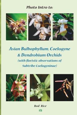 Photo Intro to: Asian Bulbophyllum, Coelogyne & Dendrobium Orchids (with floristic observations of Subtribe Coelogyninae) - Rod Rice