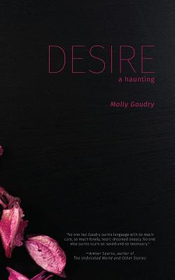 Desire: A Haunting - Molly Gaudry