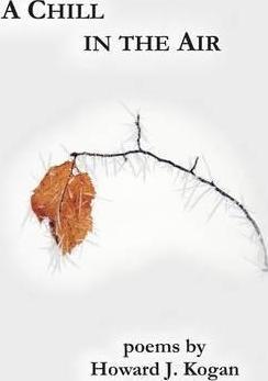 A Chill in the Air - Howard J. Kogan