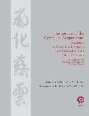 Illustrations of the Complete Acupuncture System: The Sinew, Luo, Divergent, Eight Extraordinary, Primary Channels and all their Branches - Ann Cecil-sterman