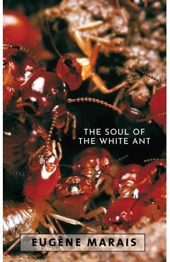 The Soul of the White Ant - Eugene N. Marais
