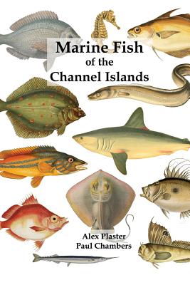 Marine Fish of the Channel Islands - Paul Chambers