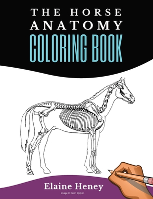 Horse Anatomy Coloring Book For Adults - Self Assessment Equine Coloring Workbook: Test Your Knowledge - For Equestrians & Veterinary Students - Elaine Heney