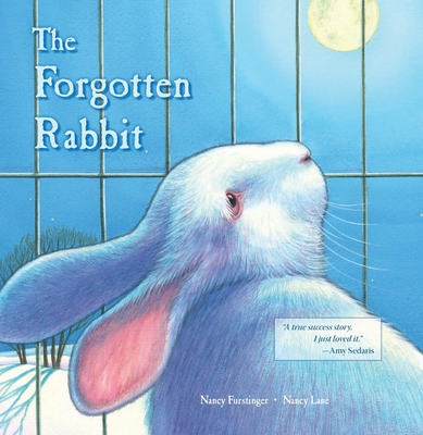 The Forgotten Rabbit - Nancy Furstinger