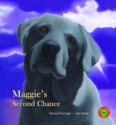 Maggie's Second Chance - Nancy Furstinger