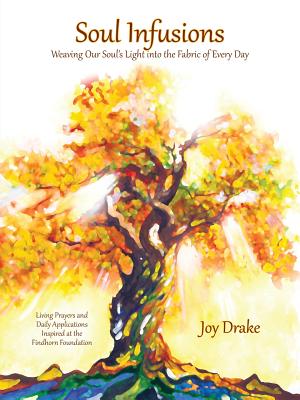 Soul Infusions: Weaving Our Soul's Light Into The Fabric Of Every Day - Joy Drake