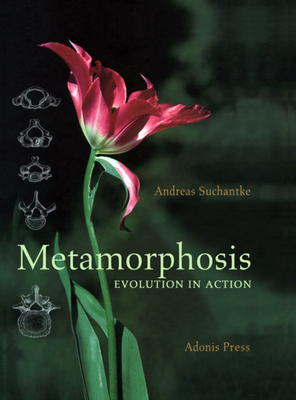 Metamorphosis: Evolution in Action - Andreas Suchantke