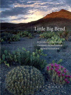 Little Big Bend: Common, Uncommon, and Rare Plants of Big Bend National Park - Roy Morey