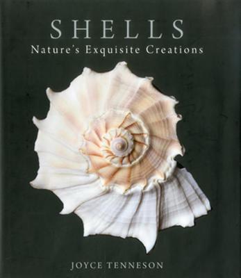 Shells: Nature's Exquisite Creations - Joyce Tenneson