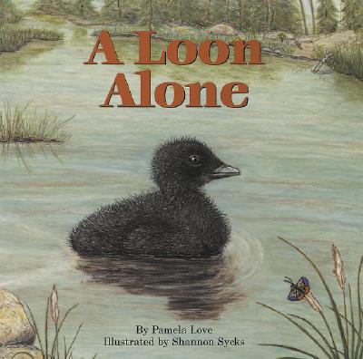 A Loon Alone - Pamela Love