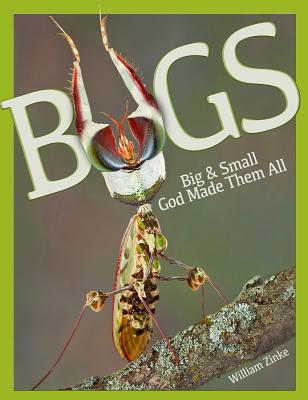 Bugs Big & Small: God Made Them All - William Zinke