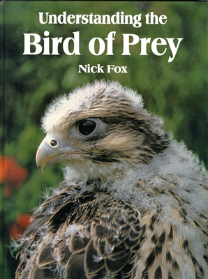 Understanding the Bird of Prey - Nicholas Fox