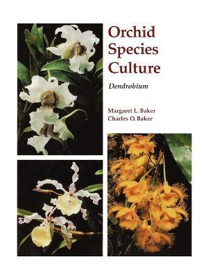 Orchid Species Culture: Dendrobium - Charles O. Baker